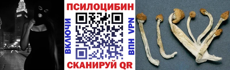 Галлюциногенные грибы Magic Shrooms  Маркс 