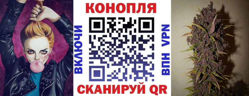 купить  сайты  Маркс  Каннабис сатива 